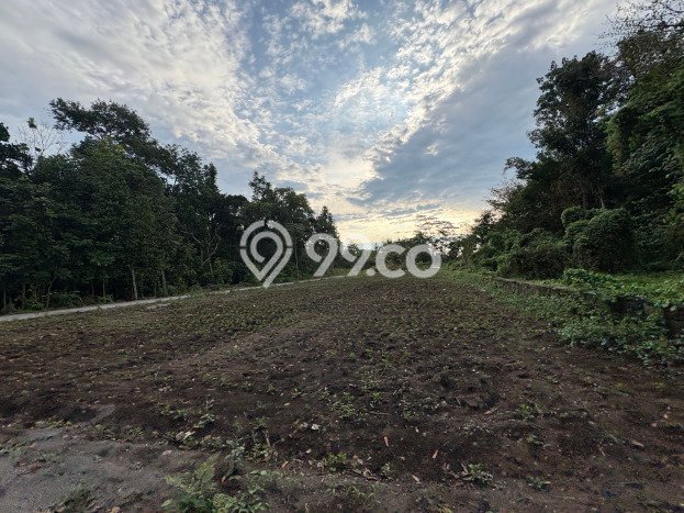 Unit Kost Dijual di Yogyakarta Spesifikasi 16 Kamar Tidur dan Area Ramai Unit Kost Dijual di Yogyakarta Spesifikasi 16 Kamar Tidur dan Area Ramai