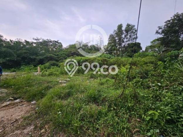 Kavling Tanah di Pangkalan Dijual Luas 1201m2 Legalitas SHM Kavling Tanah di Pangkalan Dijual Luas 1201m2 Legalitas SHM