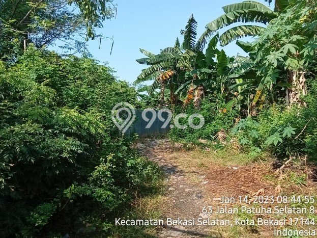 Tanah Kavling Disewakan di Kayuringin Jaya dengan Luas 1765m2 Tanah Kavling Disewakan di Kayuringin Jaya dengan Luas 1765m2