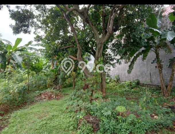 Tanah Dijual Lokasi Kramat Jati, Jakarta Timur Luas 1199m2 Legalitas Aman Tanah Dijual Lokasi Kramat Jati, Jakarta Timur Luas 1199m2 Legalitas Aman