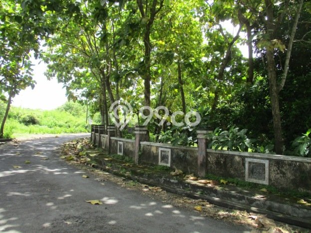 Tanah Kavling Dijual di Kutuh, Badung dengan Luas Tanah 2500m2 Tanah Kavling Dijual di Kutuh, Badung dengan Luas Tanah 2500m2