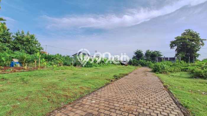 Dijual Tanah Lokasi Kutuh, Badung Seluas 200m2 Dijual Tanah Lokasi Kutuh, Badung Seluas 200m2