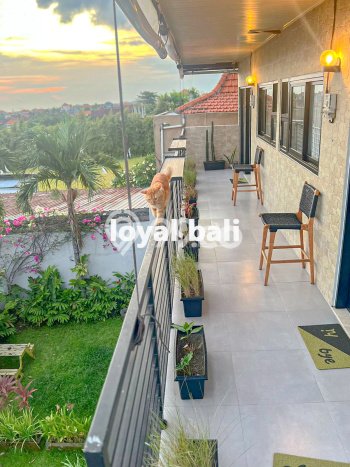 Unit Kost Dijual di Munggu dengan 4 Kamar Area Strategis Unit Kost Dijual di Munggu dengan 4 Kamar Area Strategis