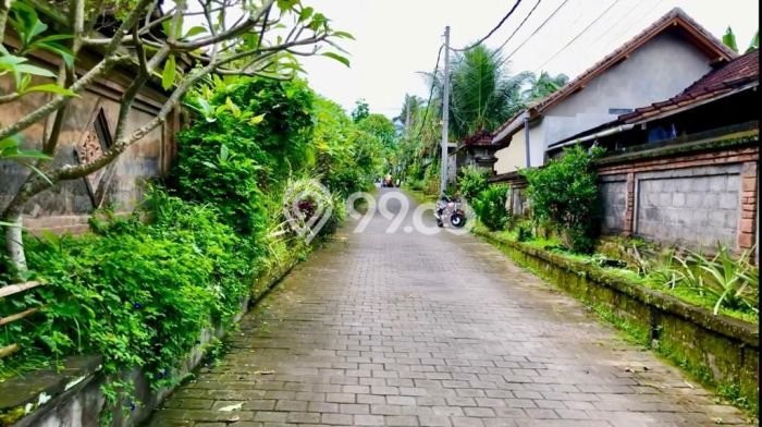 Tanah Dijual Lokasi Ubud Gianyar SHM Tanah Dijual Lokasi Ubud Gianyar SHM