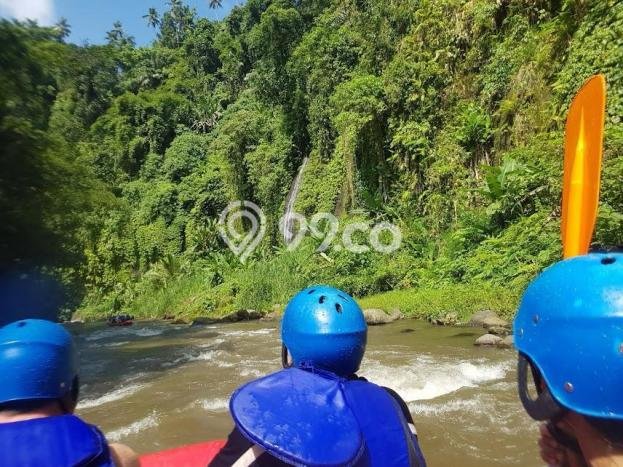 Dijual Tanah di Ubud Gianyar Luas 17562m2 SHM Dijual Tanah di Ubud Gianyar Luas 17562m2 SHM