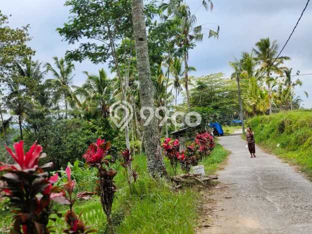 Tanah Dijual Lokasi Ubud, Gianyar Luas 333m2 Legalitas Aman Tanah Dijual Lokasi Ubud, Gianyar Luas 333m2 Legalitas Aman