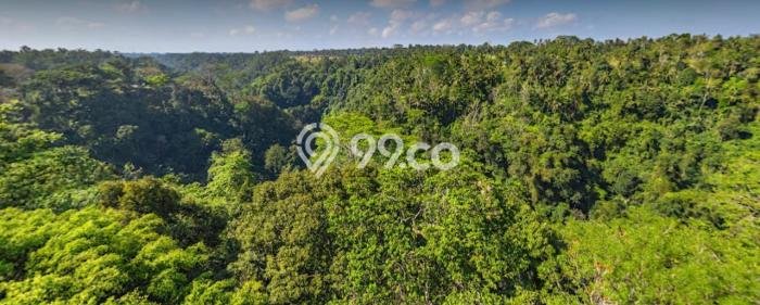Dijual Tanah di Ubud Gianyar Luas 17562m2 SHM Dijual Tanah di Ubud Gianyar Luas 17562m2 SHM
