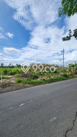 Kavling Tanah Dijual di Mengwi, Badung, Luas 1200m2 Area Strategis Kavling Tanah Dijual di Mengwi, Badung, Luas 1200m2 Area Strategis