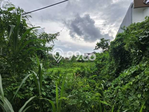 Jarang Ada! Tanah di Kuta Punya Luas 1520m2 SHM Jarang Ada! Tanah di Kuta Punya Luas 1520m2 SHM