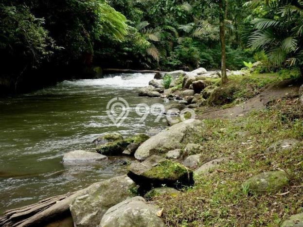 Dijual Tanah di Ubud Gianyar Luas 17562m2 SHM Dijual Tanah di Ubud Gianyar Luas 17562m2 SHM