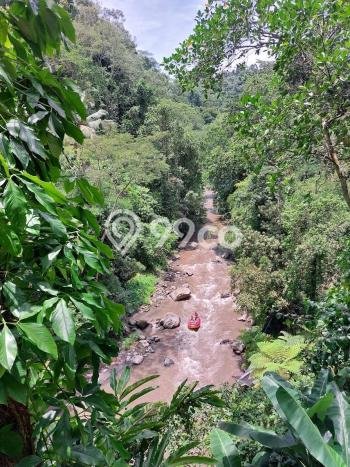 Dijual Tanah di Ubud Gianyar Luas 17562m2 SHM Dijual Tanah di Ubud Gianyar Luas 17562m2 SHM