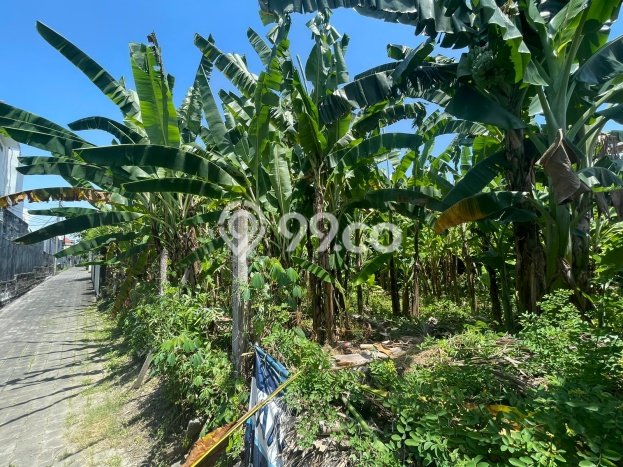 Tanah Siap Bangun Dijual di Badung Punya Luas 300m2 Tanah Siap Bangun Dijual di Badung Punya Luas 300m2
