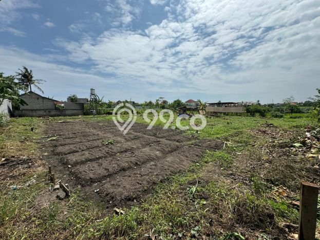 Kavling Tanah di Dalung Dijual Luas 1410m2 Legalitas SHM Kavling Tanah di Dalung Dijual Luas 1410m2 Legalitas SHM
