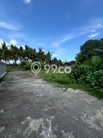 Tanah Kavling di Ubud Dijual dengan Luas 206m2 Tanah Kavling di Ubud Dijual dengan Luas 206m2