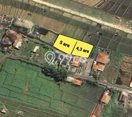 Dijual Tanah 430m2 di Cemagi, Badung Dijual Tanah 430m2 di Cemagi, Badung