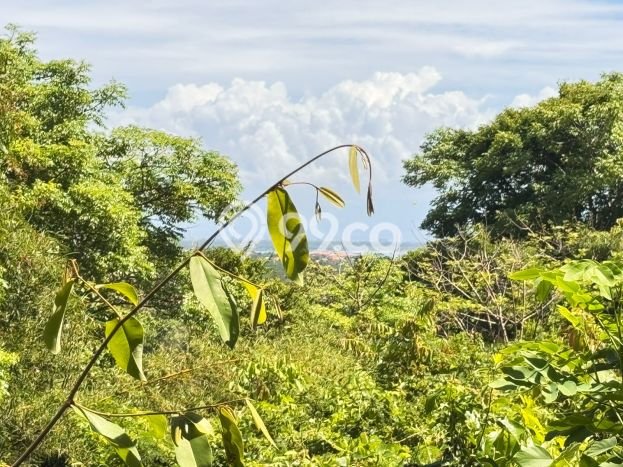 Tanah Kavling Dijual di Badung dengan Spesifikasi 1800m2 Tanah Kavling Dijual di Badung dengan Spesifikasi 1800m2