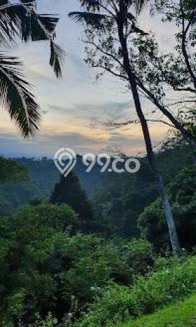 Dijual Tanah di Ubud Gianyar Luas 17562m2 SHM Dijual Tanah di Ubud Gianyar Luas 17562m2 SHM