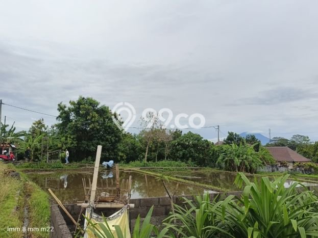 Tanah di Ubud, Luas 941m², Jalur Mudah, Area Prospektif Tanah di Ubud, Luas 941m², Jalur Mudah, Area Prospektif