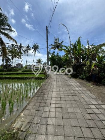 Kesempatan Terbaik! Vila di Ubud, Ukuran 307m2m², Posisi Premium dekat dengan berbagai fasilitas Kesempatan Terbaik! Vila di Ubud, Ukuran 307m2m², Posisi Premium dekat dengan berbagai fasilitas