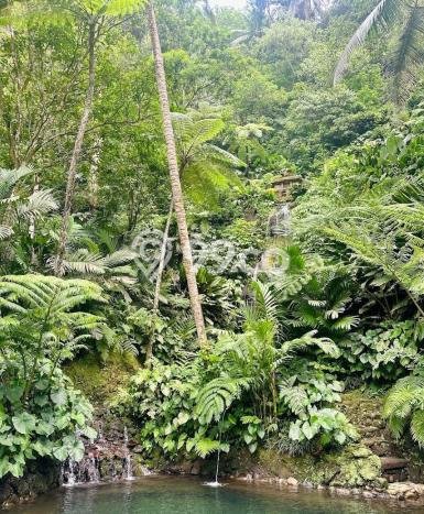 Dijual Tanah di Ubud Gianyar Luas 17562m2 SHM Dijual Tanah di Ubud Gianyar Luas 17562m2 SHM