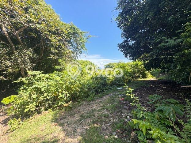 Tanah Kavling Dijual di Badung dengan Spesifikasi 1800m2 Tanah Kavling Dijual di Badung dengan Spesifikasi 1800m2