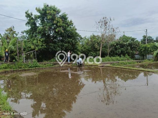Tanah di Ubud, Luas 941m², Jalur Mudah, Area Prospektif Tanah di Ubud, Luas 941m², Jalur Mudah, Area Prospektif