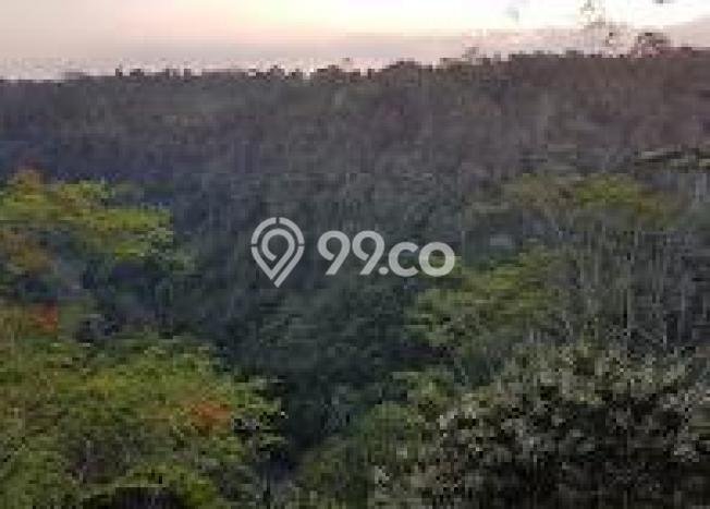 Dijual Tanah di Ubud Gianyar Luas 17562m2 SHM Dijual Tanah di Ubud Gianyar Luas 17562m2 SHM