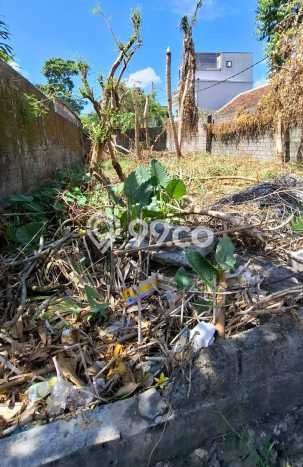 Dijual Tanah 234m2 di Canggu, Badung Dijual Tanah 234m2 di Canggu, Badung