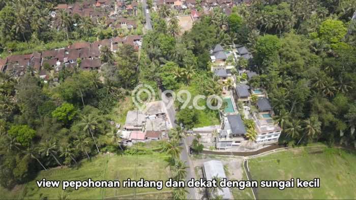 Tanah Dijual Lokasi Ubud, Gianyar dengan Luas Tanah 1500m2 dan Status SHM Tanah Dijual Lokasi Ubud, Gianyar dengan Luas Tanah 1500m2 dan Status SHM