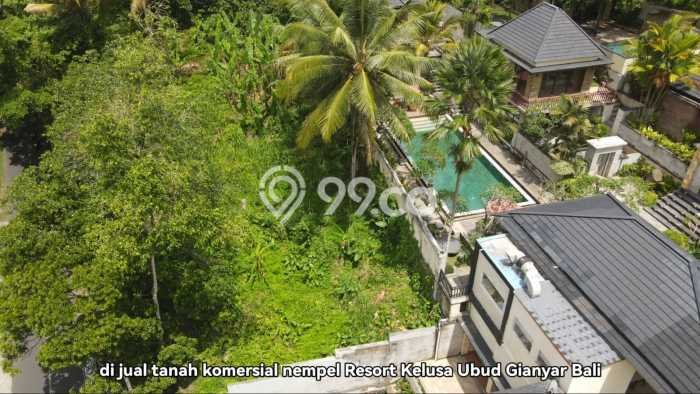 Tanah Dijual Lokasi Ubud, Gianyar dengan Luas Tanah 1500m2 dan Status SHM Tanah Dijual Lokasi Ubud, Gianyar dengan Luas Tanah 1500m2 dan Status SHM