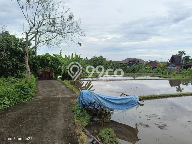 Tanah di Ubud, Luas 941m², Jalur Mudah, Area Prospektif Tanah di Ubud, Luas 941m², Jalur Mudah, Area Prospektif