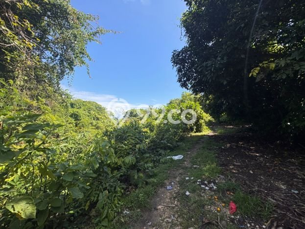 Tanah Kavling Dijual di Badung dengan Spesifikasi 1800m2 Tanah Kavling Dijual di Badung dengan Spesifikasi 1800m2