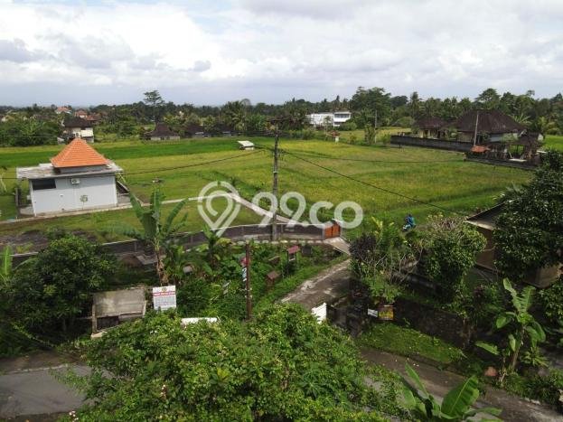 Tanah di Gianyar, Gianyar Luas 1000m2 Dijual Segera Tanah di Gianyar, Gianyar Luas 1000m2 Dijual Segera