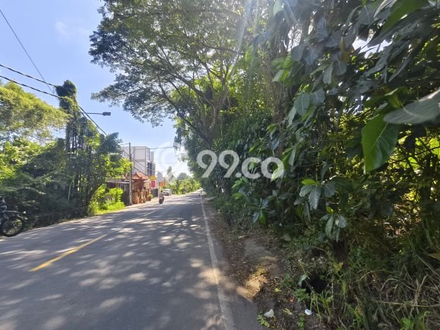 Tanah Siap Bangun Dijual di Badung Punya Luas 500m2 Tanah Siap Bangun Dijual di Badung Punya Luas 500m2