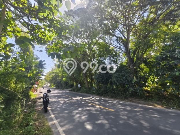Tanah Siap Bangun Dijual di Badung Punya Luas 500m2 Tanah Siap Bangun Dijual di Badung Punya Luas 500m2