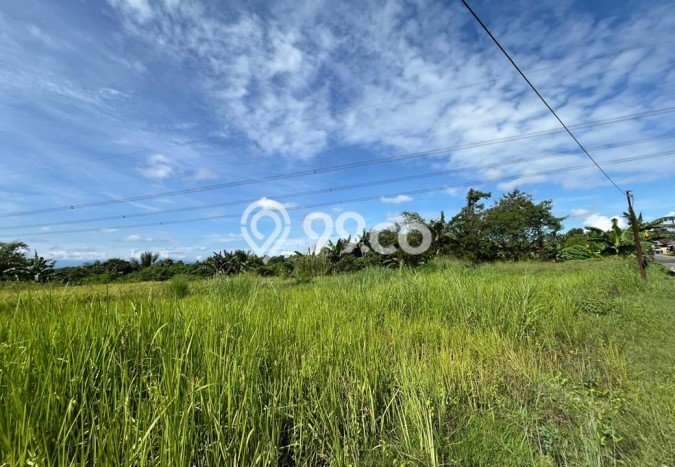 Tanah Kavling di Maja Dijual dengan Luas 3400m2 Tanah Kavling di Maja Dijual dengan Luas 3400m2