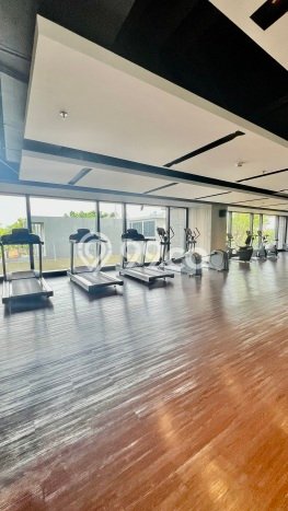 Apartemen Sewa 1 Kamar Murah Siap Huni di Jakarta Selatan, Luas 38m2 Apartemen Sewa 1 Kamar Murah Siap Huni di Jakarta Selatan, Luas 38m2