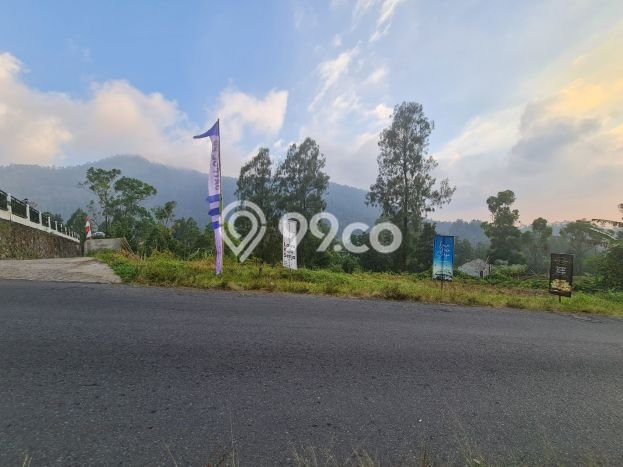 Dijual Tanah di Tawangmangu Solo Luas 2720m2 SHM Dijual Tanah di Tawangmangu Solo Luas 2720m2 SHM