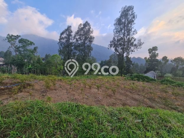 Dijual Tanah di Tawangmangu Solo Luas 2720m2 SHM Dijual Tanah di Tawangmangu Solo Luas 2720m2 SHM