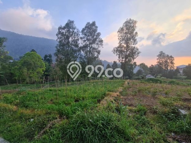 Dijual Tanah di Tawangmangu Solo Luas 2720m2 SHM Dijual Tanah di Tawangmangu Solo Luas 2720m2 SHM