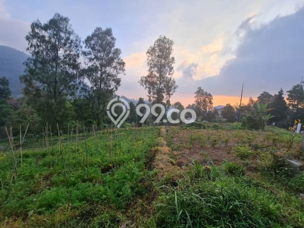 Dijual Tanah di Tawangmangu Solo Luas 2720m2 SHM Dijual Tanah di Tawangmangu Solo Luas 2720m2 SHM