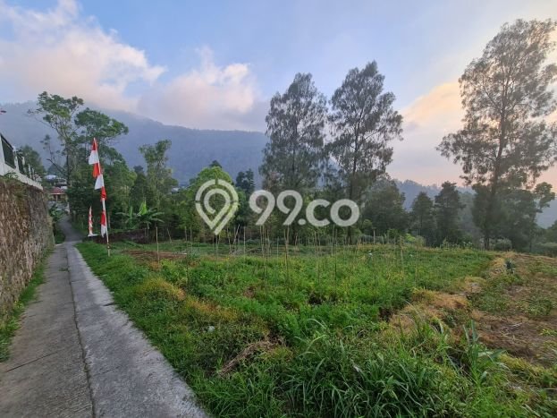 Dijual Tanah di Tawangmangu Solo Luas 2720m2 SHM Dijual Tanah di Tawangmangu Solo Luas 2720m2 SHM