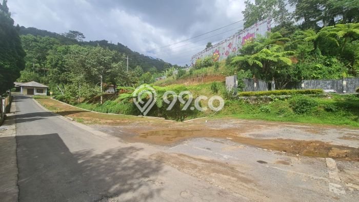 Lahan untuk Dijual di Ngargoyoso Karanganyar Luas 1310m2 Lahan untuk Dijual di Ngargoyoso Karanganyar Luas 1310m2