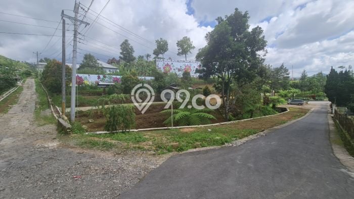 Lahan untuk Dijual di Ngargoyoso Karanganyar Luas 1310m2 Lahan untuk Dijual di Ngargoyoso Karanganyar Luas 1310m2