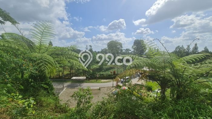 Lahan untuk Dijual di Ngargoyoso Karanganyar Luas 1310m2 Lahan untuk Dijual di Ngargoyoso Karanganyar Luas 1310m2