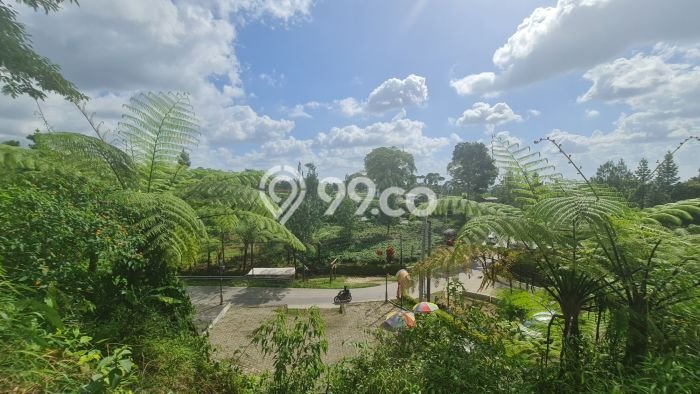 Lahan untuk Dijual di Ngargoyoso Karanganyar Luas 1310m2 Lahan untuk Dijual di Ngargoyoso Karanganyar Luas 1310m2