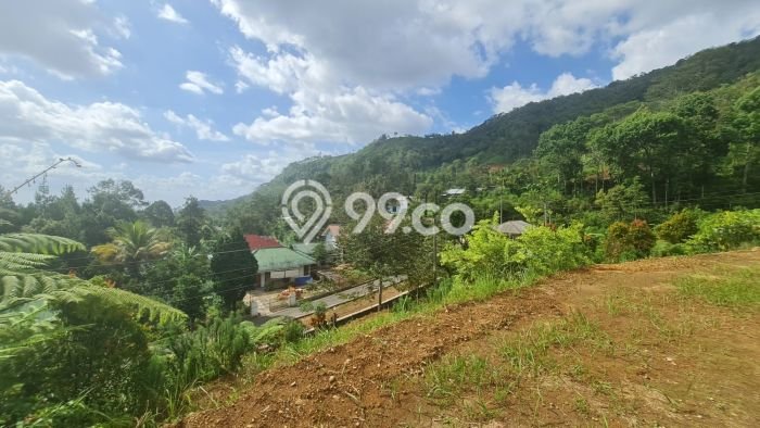 Lahan untuk Dijual di Ngargoyoso Karanganyar Luas 1310m2 Lahan untuk Dijual di Ngargoyoso Karanganyar Luas 1310m2