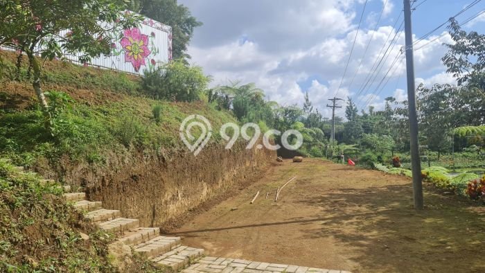 Lahan untuk Dijual di Ngargoyoso Karanganyar Luas 1310m2 Lahan untuk Dijual di Ngargoyoso Karanganyar Luas 1310m2