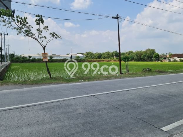 Kavling Tanah Dijual di Bendosari Sukoharjo Spesifikasi 10886m2 Kavling Tanah Dijual di Bendosari Sukoharjo Spesifikasi 10886m2