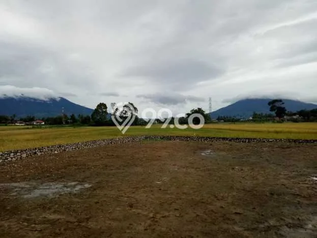 Tanah Dijual di Bukittinggi Seluas 1240m2 Strategis Tanah Dijual di Bukittinggi Seluas 1240m2 Strategis